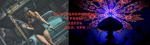 ALPHA PVP Ельня