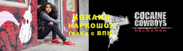 ALPHA PVP Ельня