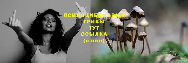 скорость Елабуга