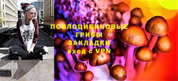 крисы Елизово