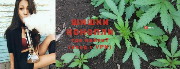 ALPHA PVP Ельня