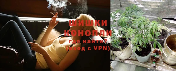 крисы Елизово