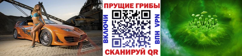 Галлюциногенные грибы прущие грибы  где купить наркоту  Карабаново 